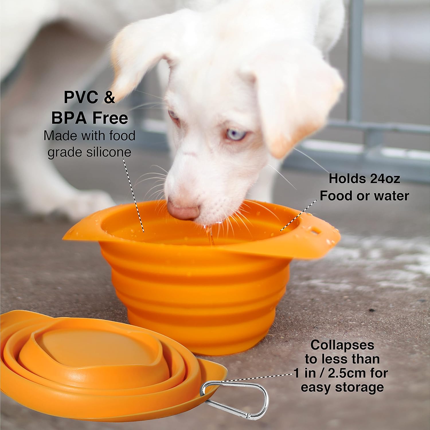 Kurgo Collaps-A-Bowl for Dogs, Collapsible Travel Dog Bowl for Outdoor Adventures, Food-Grade Silicone - Image 3