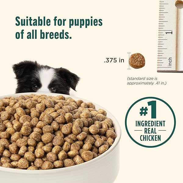 NUTRISH PUPPY REAL CHICKEN & BROWN RICE RECIPE WHOLE HEALTH BLEND DRY DOG FOOD, 6 LB. BAG, PACKAGING MAY VARY (RACHAEL RAY)