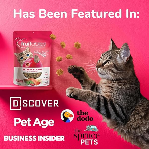 FRUITABLES CAT TREATS, HEALTHY TREATS FOR CATS, LOW CALORIE AND PACKED WITH PROTEIN, CRUNCHY BISCUITS, NO WHEAT, CORN OR SOY, MADE WITH REAL SALMON AND CRANBERRY, 2.5OZ