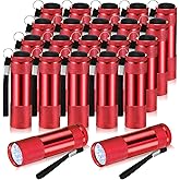 VIHOSE 20 Pcs Mini Flashlights Bulk, Bright Aluminum Handheld Flash Light with Lanyard Small LED Flashlights for Night Reading Emergency Hurricane Camping Hiking, Batteries Not Included(Red)