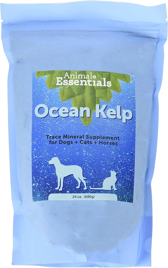 reptiles for sale online