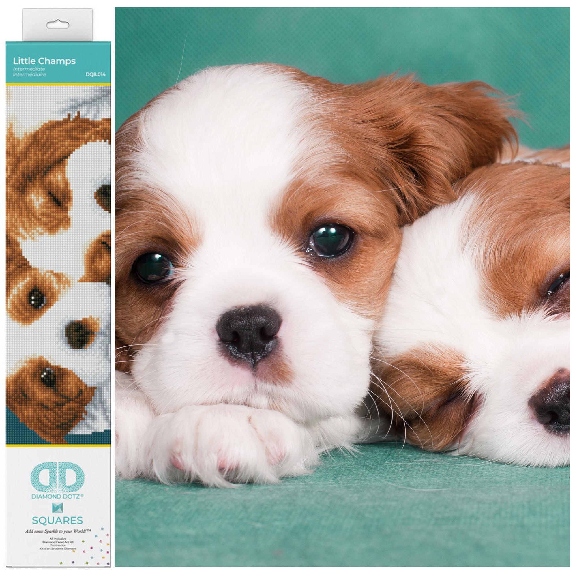 DIAMOND DOTZ Squares DQ8 Intermediate Kit Colourful