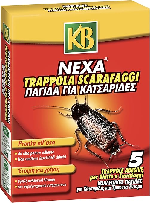 Insetticida per blatte