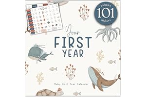 BIBI & BEAU Baby's First Year Memory & 1st Year Calendar with 100 Stickers | Baby's First Year Calendar With Stickers & 1st Year Calendars, Baby Tracker