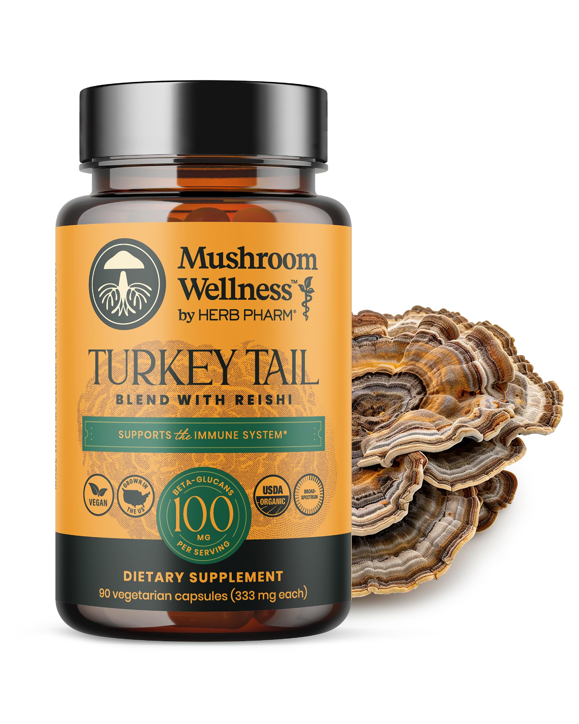 Turkey Tail Blend with Reishi