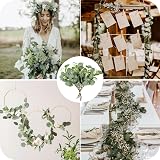 Homcomodar Eucalyptus Seeded Stem 12Pcs 11.4in Artificial Greenery Leaves view 6