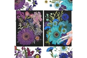 CONVELIFE Dried Flowers, 40Pcs Natural Pressed Dried Flowers and Leaves, Pressed Flowers with Tweezers for Scrapbooking DIY Art Crafts, Epoxy Jewelry, Candle, Soap Making, Nails Decor