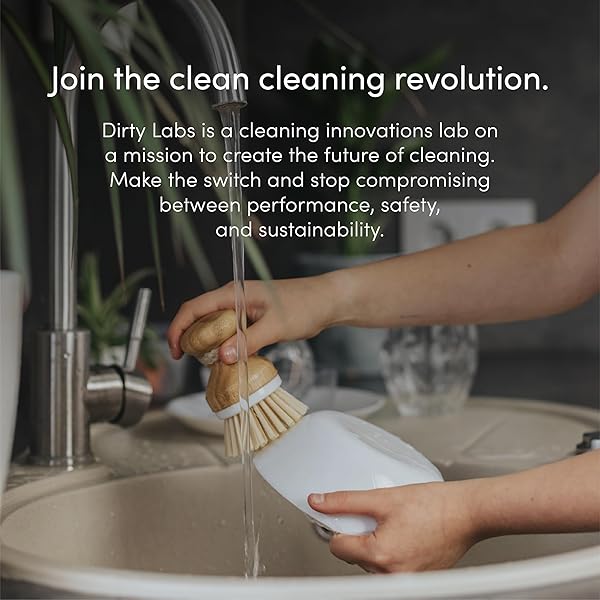 DIRTY LABS | DISHWASHER DETERGENT AND BOOSTER | SCENT FREE | 48 LOADS (1 LB) | ULTRA CLEAN, SPOT FREE, QUICK WASH OPTIMIZED | HYPER CONCENTRATED