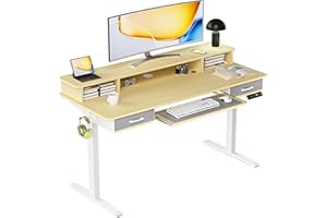 YORIWELL Electric Standing Desk with Keyboard Tray, 55x24 Inches Height Adjustable Stand up Desk with 2 Drawers, Ergonomic Si