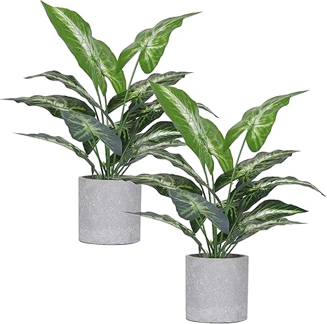 Amazon 人工観葉植物 フェイクグリーン フェイクフラワー 鉢植え 造花 人工植物 インテリア 飾り 世話いらず 水やり不要 オフィス ホーム デコレーション 2本セット 人工観葉植物 オンライン通販
