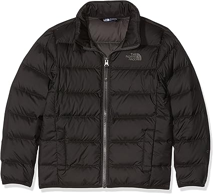 andes jacket north face