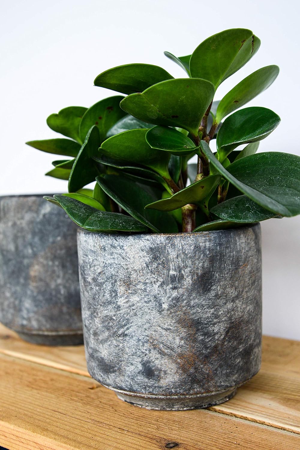 Tivoli planter earth D14 H13 - Image 3