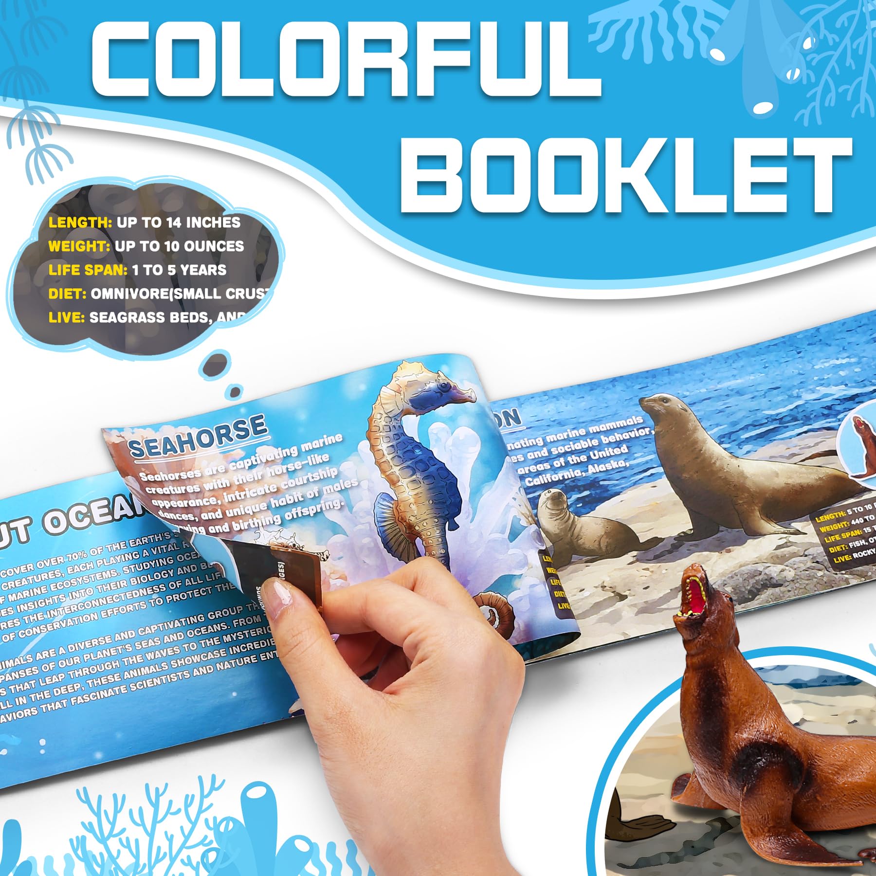 12 Pack Ocean Animal Toys with Educational Booklet for Kids, Realistic Soft Plastic Creatures Model Figures for Toddler Boys Girls, Under the Sea Party Favor, Birthday Gifts Water Table Toy