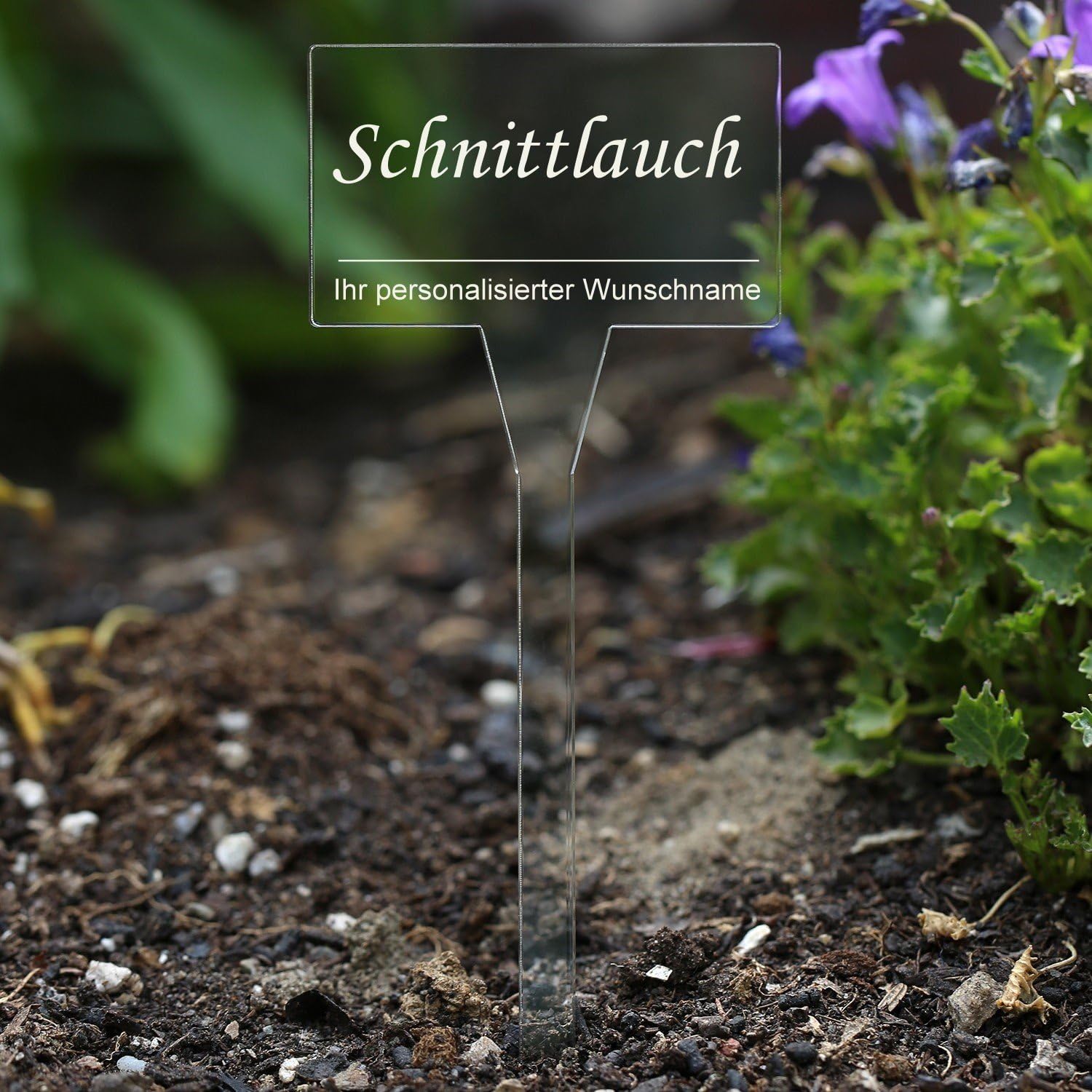 koder acrílico cristal – Etiquetas para plantas (rectangular ...