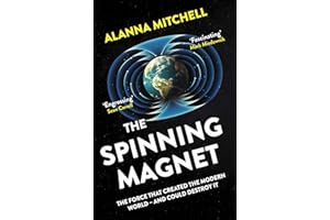The Spinning Magnet: The Force That Created the Modern World - and Could Destroy It