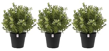 Fun Homes Mini Plastic Potted Plants for Home Office Decoration, Plastic Plant with Black Plastic Pots, Fake Plant for Bathroom D