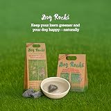 Dog Rocks Urine Patch Preventer 600g Bulk Bag Clear by Dog Rocks view 7