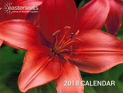 easter seals 2021 calendar Amazon Com Easterseals 2018 Calendar Office Products easter seals 2021 calendar