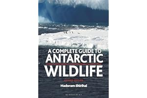 A Complete Guide to Antarctic Wildlife