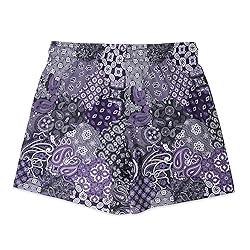 DIOTSR Mens Mesh Paisley Shorts, Casual Retro
