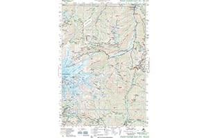 Mount Rainier East, WA No. 270