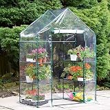 Taylor & Brown Walk In Greenhouse 4 Shelves PVC Cover 56x77 inches view 2