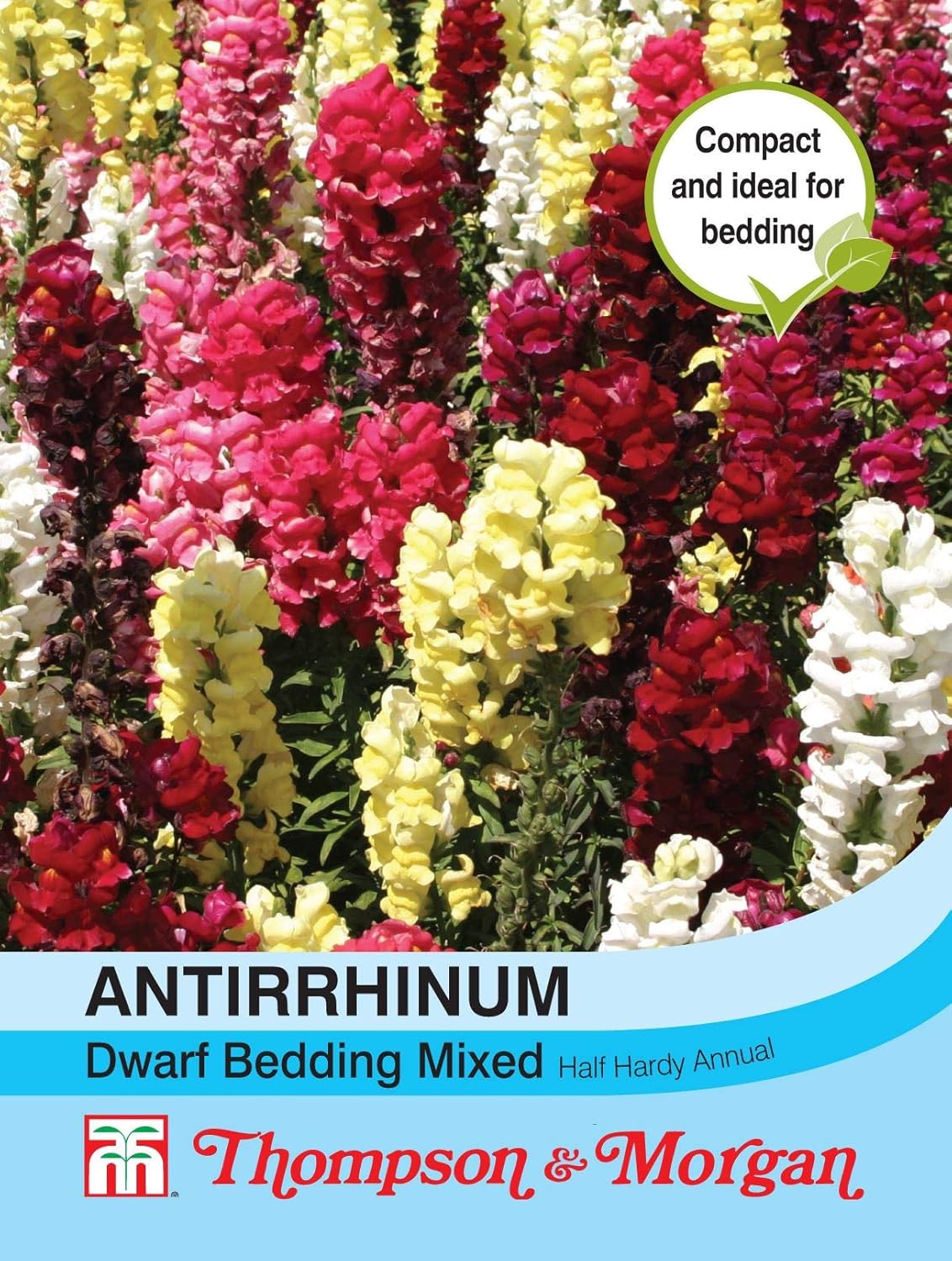 Thompson & Flowers Antirrhinum Dwarf Bedding Mixed 4500
