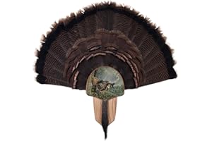 Walnut Hollow Country Turkey Fan Mount & Display Kit, Oak with Double Strike Image