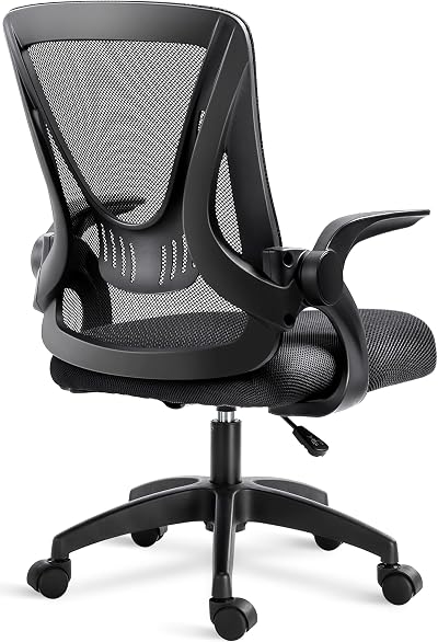 Blisswood Adjustable Office Chair Mesh Back Lumbar Support 90° Armrests