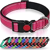 Taglory Reflective Dog Collar with Safety Locking Buckle, Adjustable Nylon Pet Collars for Puppy Small Medium Large and Extra