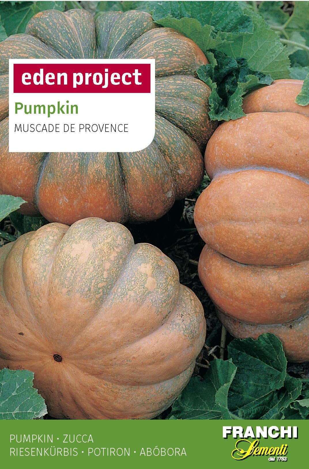 Franchi Eden Project Pumpkin Muscade de Provence