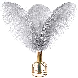 THARAHT Gray Ostrich Feathers 12pcs Large Natural