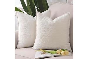 MADIZZ Pack of 2 Chenille Velvet Throw Pillow Covers 18x18 Inch White Soft Neutral Decorative Throw Pillows Accent Boho Cushi