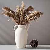 PORCER Ceramic Vase, 9.84 Inch Terracotta Vase with Handles, Boho Decor Decorative Vase, Rustic Vase for Home Decor, Farmhouse, Living Room, Table - Beige