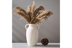 PORCER Ceramic Vase, 9.84 Inch Terracotta Vase with Handles, Boho Decor Decorative Vase, Rustic Vase for Home Decor, Farmhouse, Living Room, Table - Beige