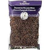 SuperMoss (26972) Spanish Moss Preserved, Coffee, 8oz (200 cubic inch)