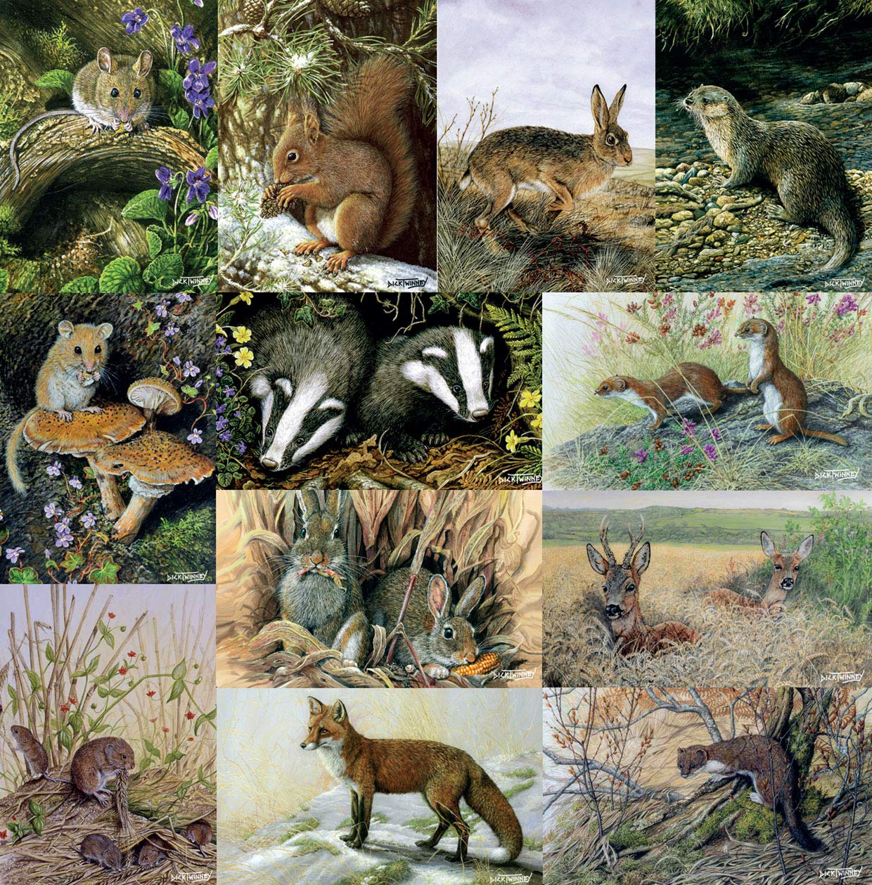 Tirrito British Wildlife Greeting Card Pack: 12 Cards, A5 Size, Animal Pattern, Easter Occasion