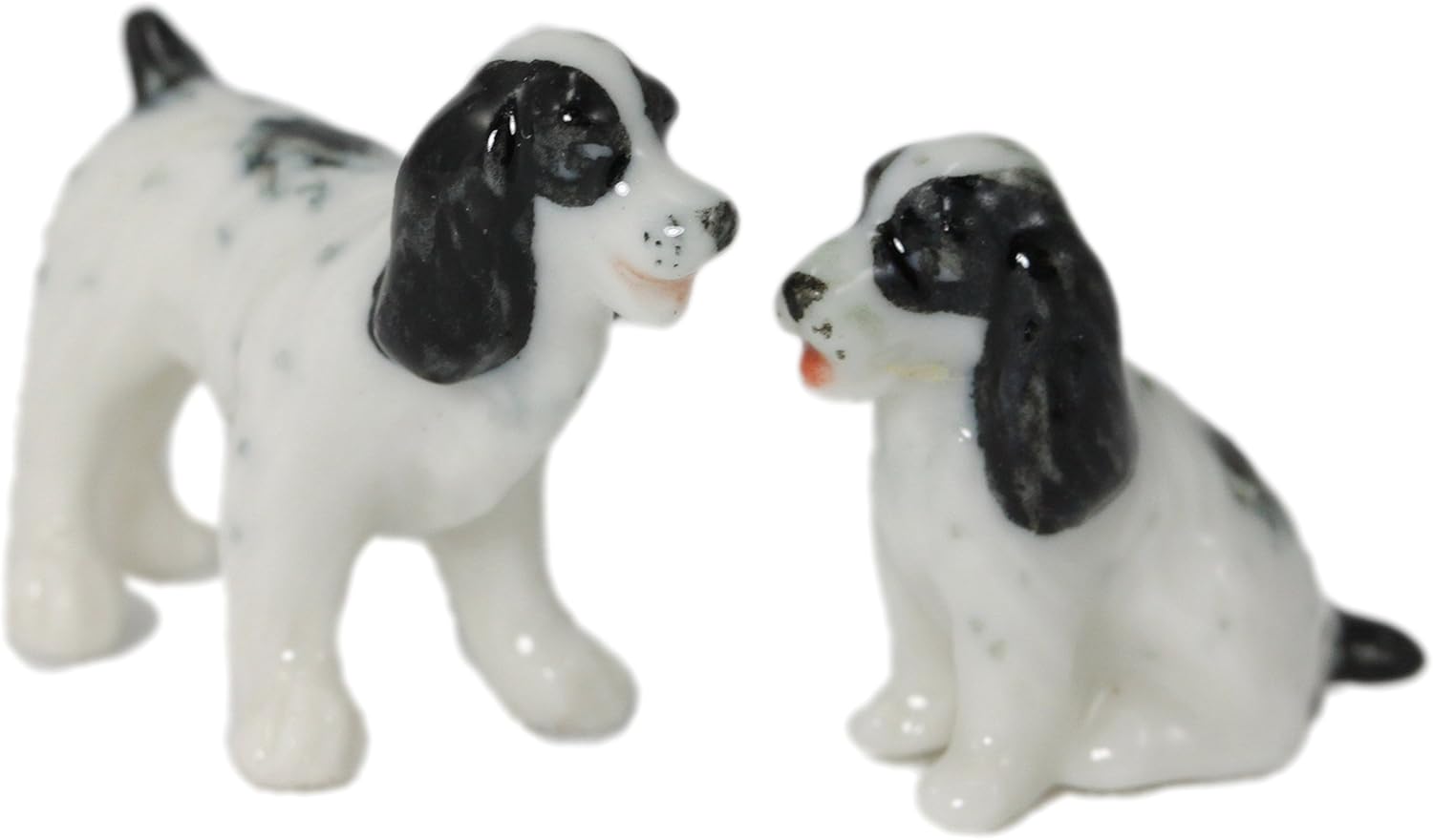 toy english cocker spaniel