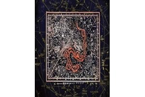 Player Handbook: 5e handbook starter set master's guide with character sheets,how to play, dragons, spells, classes,races, weapons, mixed paper journal