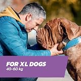 Naqua Flea Treatment XL Dogs Spot-On 1 Pipette 40-60 kg view 2