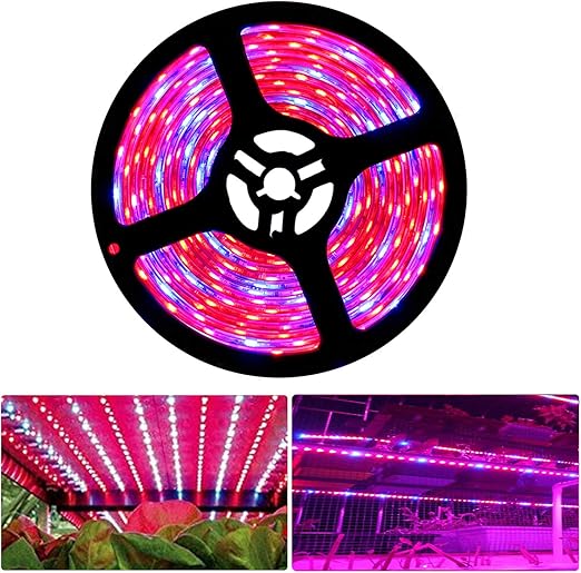 Tesfish LED planta crecer tira luz DC 12V IP65 espectro completo SMD