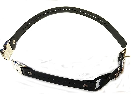 bungee collar for e collar