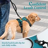 rabbitgoo Large Dog Harness No Pull Reflective Teal XL with Front Back Clips view 7