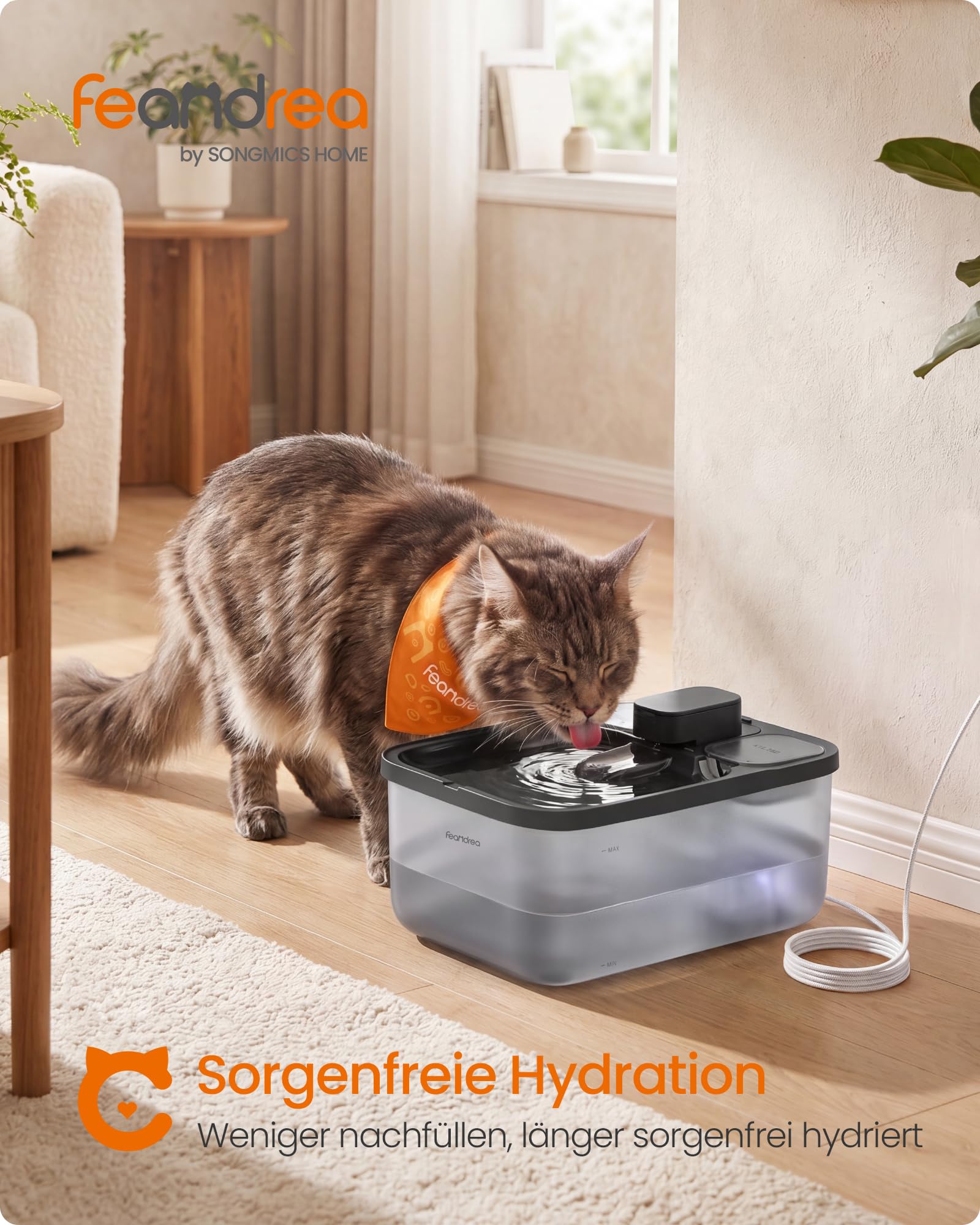 Feandrea Katzenbrunnen, 4,5 L Trinkbrunnen für Katzen, Leiser Haustierbrunnen mit 2 Filtern und 1 Schwamm, Sichtbarer Wasserstand, 28,7 x 19,3 x 17,3 cm, Schwarz, BOXAL Kollektion PWF001B101 2