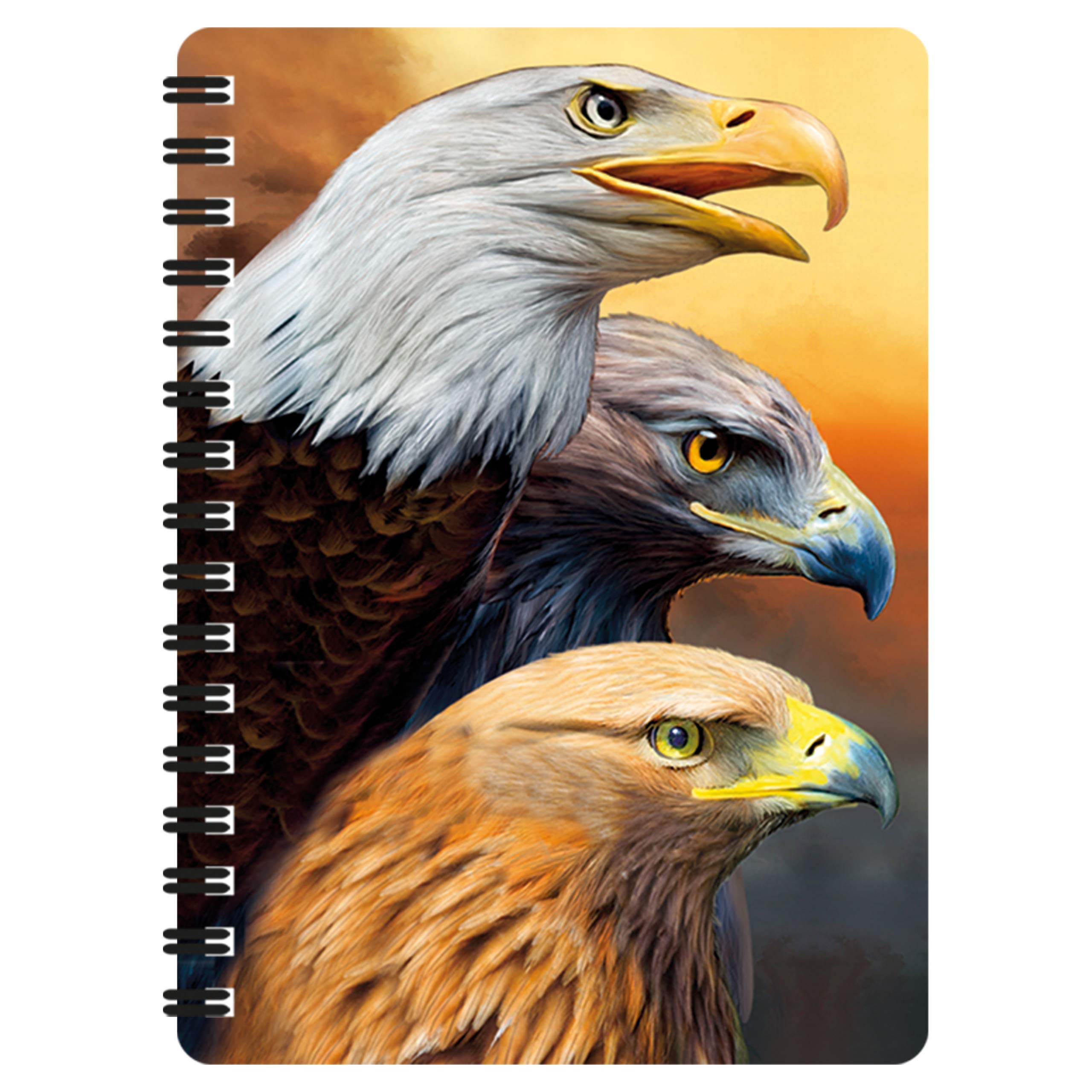 3D LiveLife Jotter - Three Eagles from Deluxebase. Lenticular 3D Bird A6 Spiral Notebook with plain recycled paper pages. Artwork licensed from renowned artist Carol Cavalaris