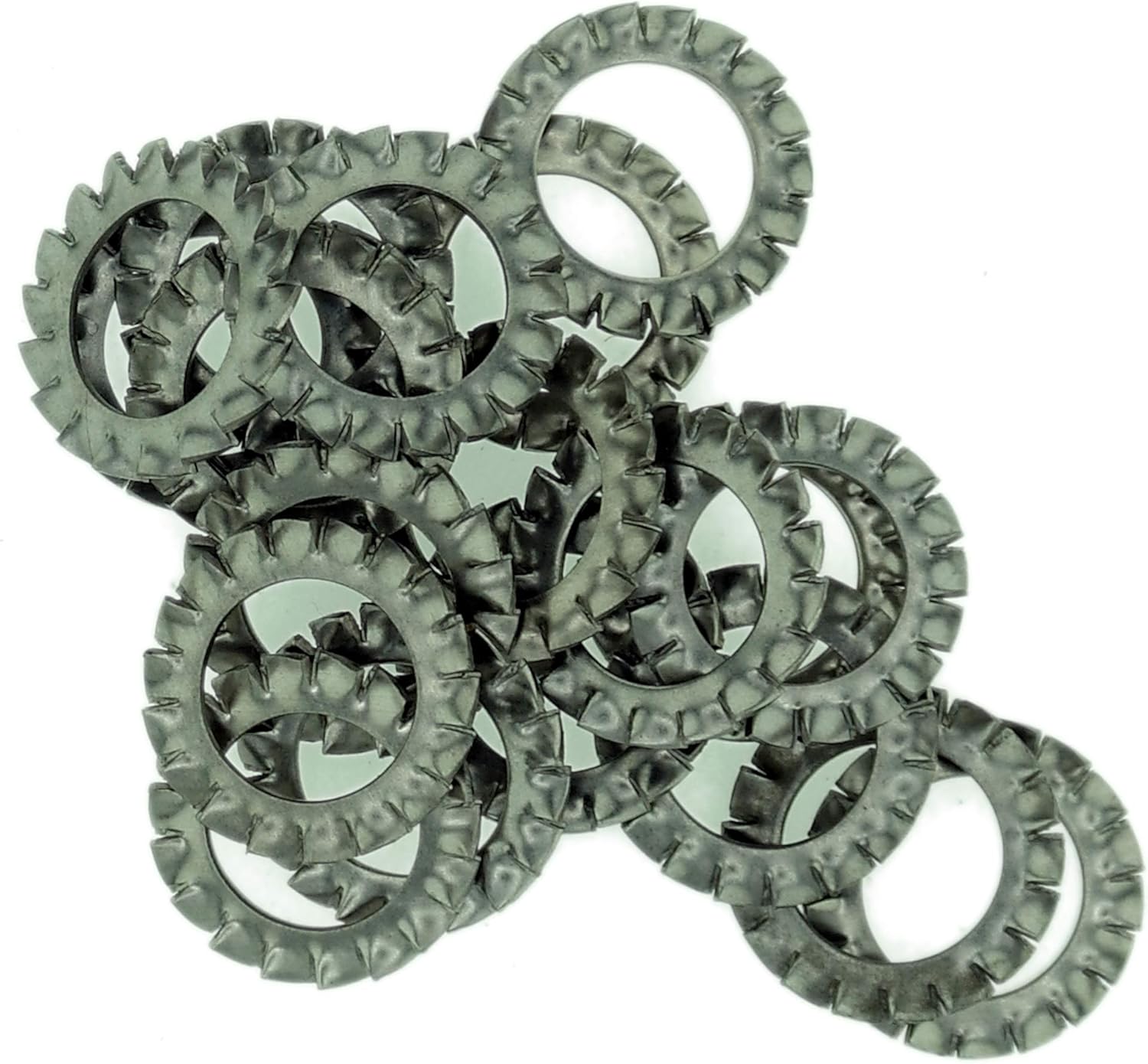 M16 (16mm) Shakeproof Washer (External Serrated) - Stainless Steel (A2) (Pack of 20), M16 - ExternalSerrated - A2 (20) - Image 3
