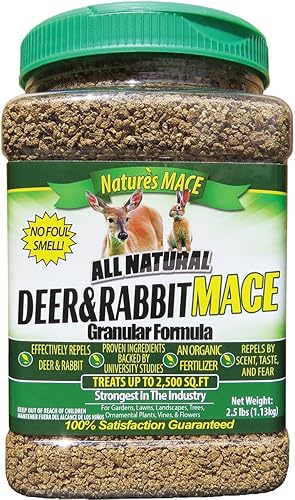 hstcstbl-table__image