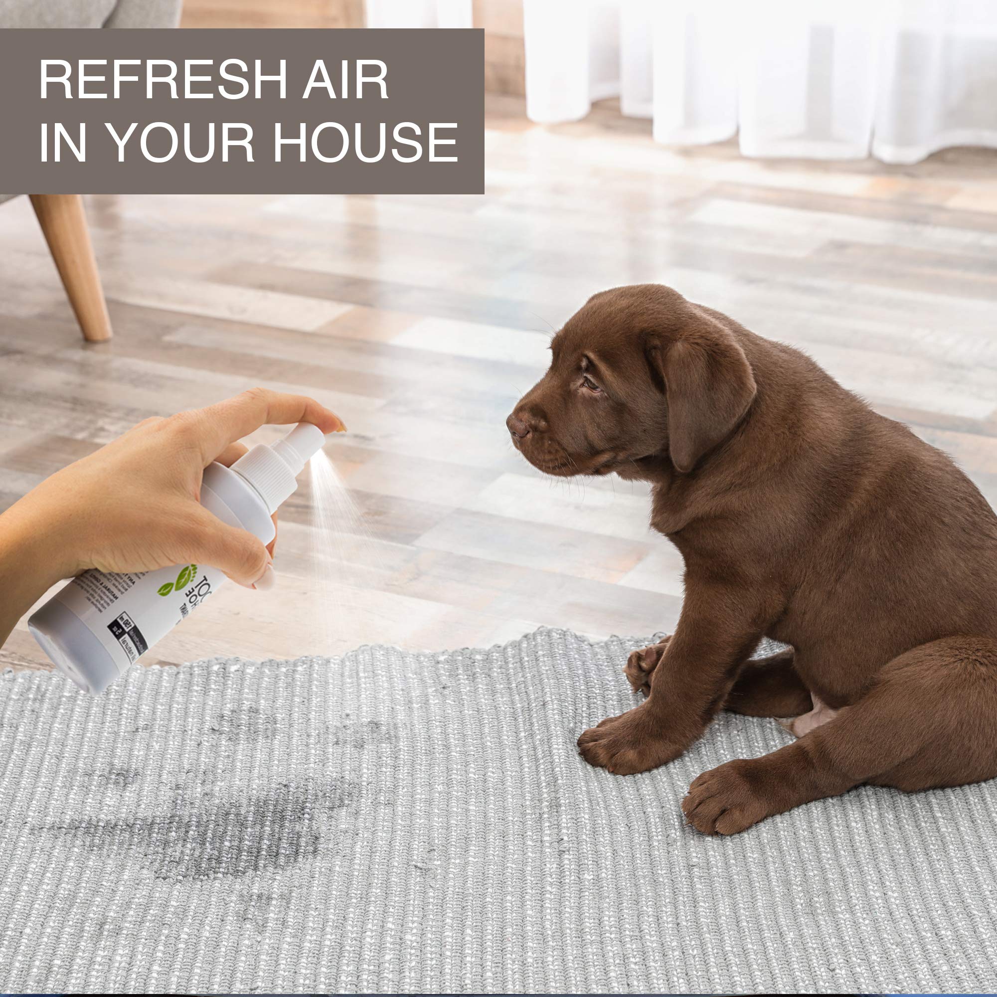 Shoe Deodorizer and Foot Odor Eliminator Spray Strong Feet & Shoe