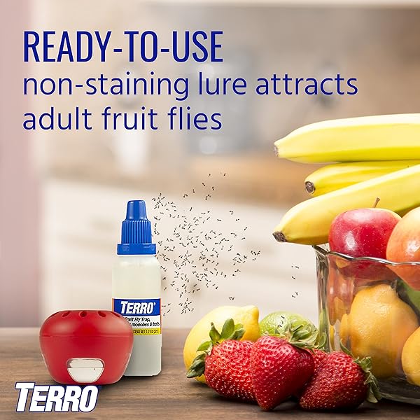 TERRO T2502 READY-TO-USE INDOOR FRUIT FLY TRAP WITH BUILT IN WINDOW – 2 TRAPS + 90 DAY LURE SUPPLY
