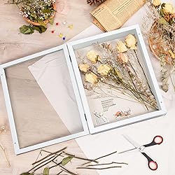 Califortree 12x16 Shadow Box Frame with Linen Back